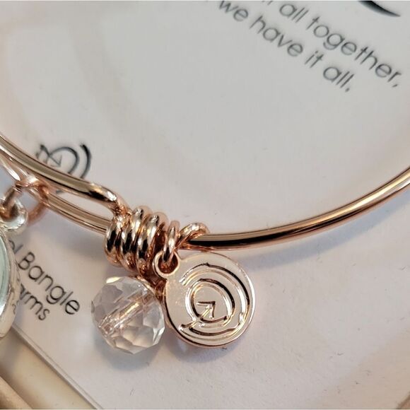 NIB LOVE THIS LIFE "FAMILY" CHARM BRACELET - Picture 4 of 6